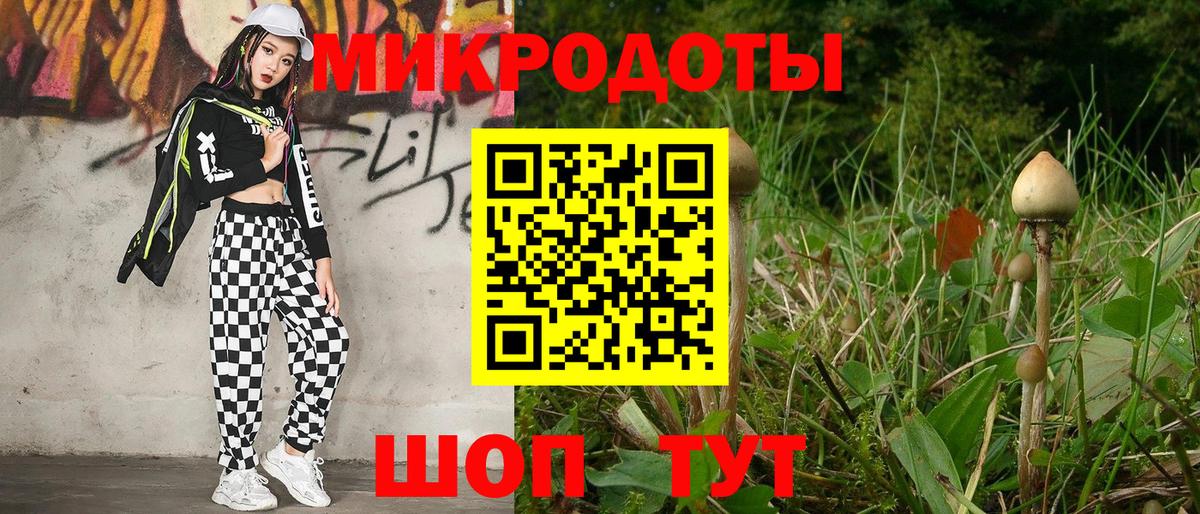 Псилоцибиновые грибы Psilocybe Абинск
