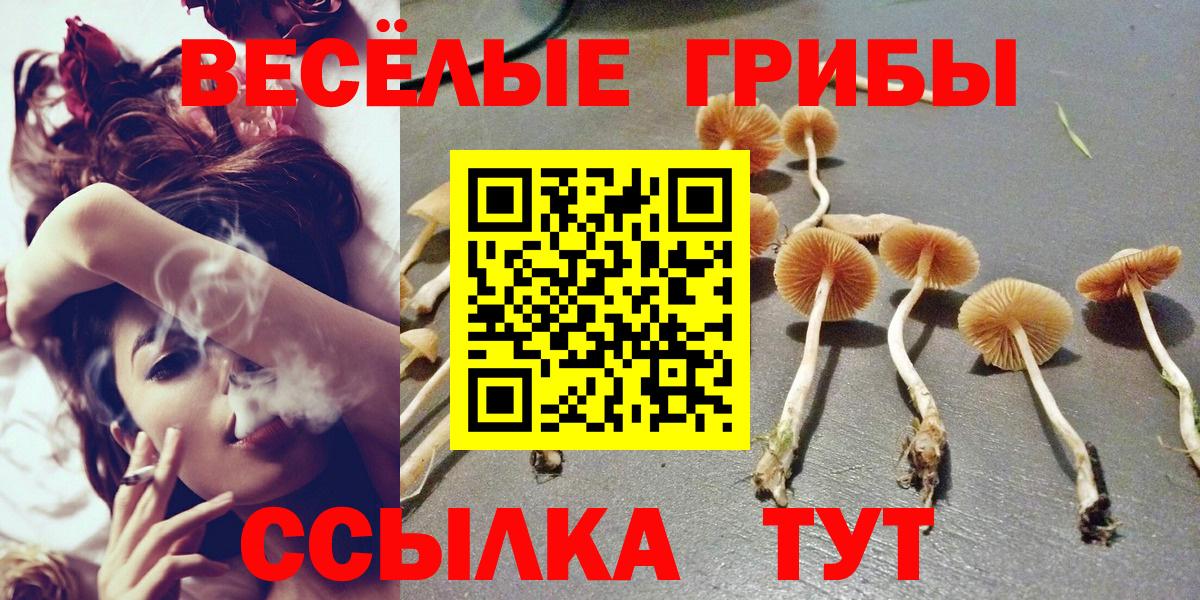 Галлюциногенные грибы ЛСД  Вход с VPN  Абинск 